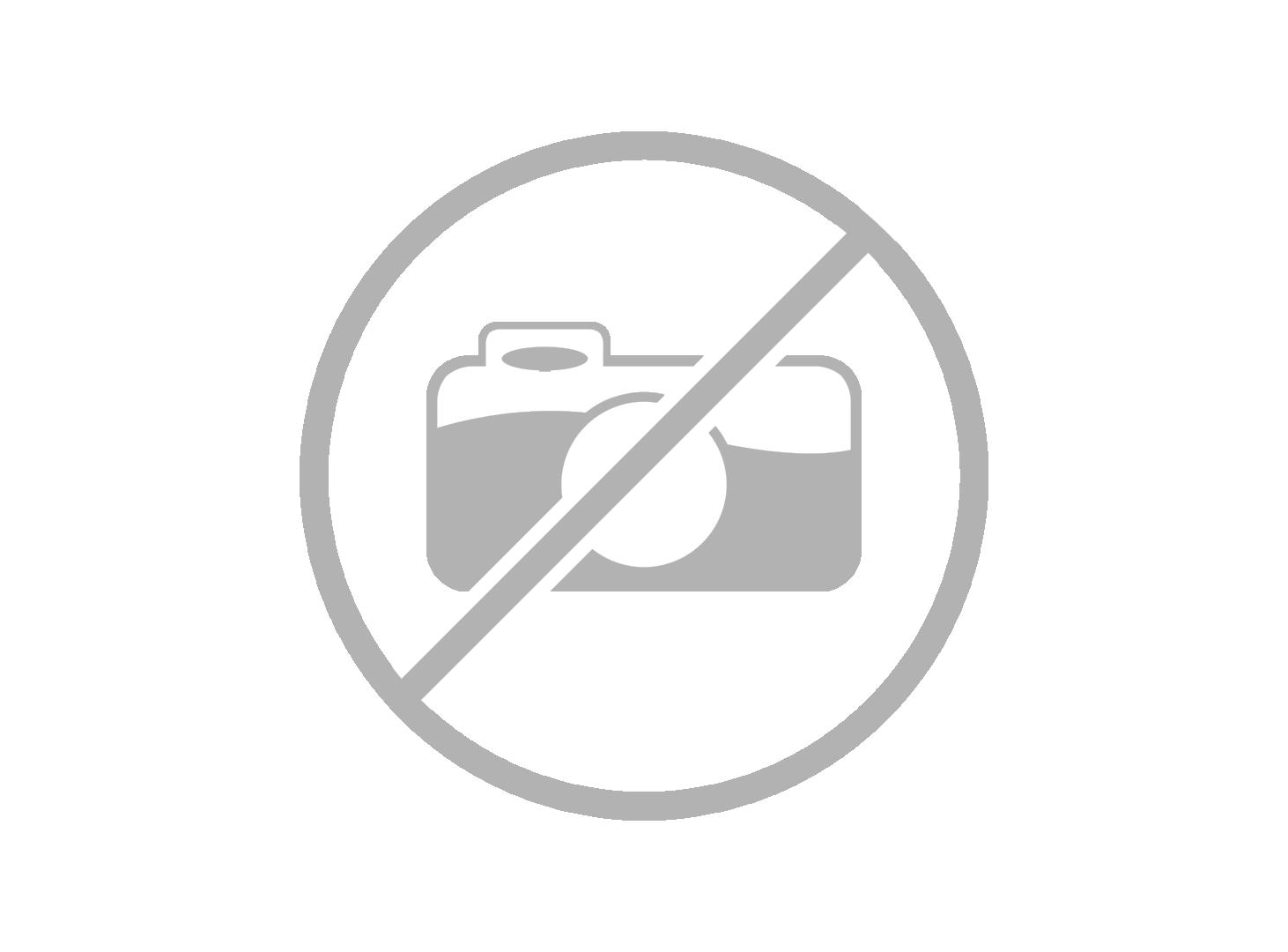 DAMPF DRACHE Felgen Blitz 1000 ml